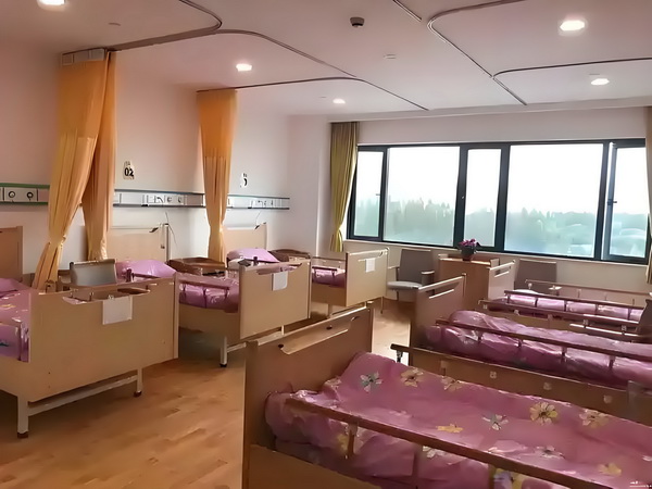 外省转深户_揽佬：我就是个打工人，不是什么艺术家 撞上城际快车一辆野猪