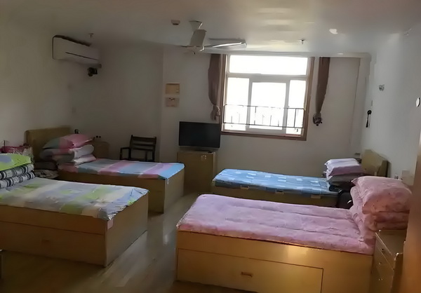 委内瑞拉闹饥荒总统出奇招：何不养兔子吃兔肉